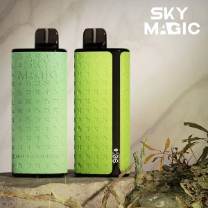 9000Puffs Disposable Pod